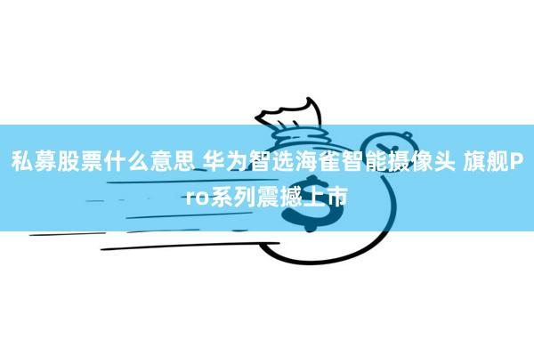 私募股票什么意思 华为智选海雀智能摄像头 旗舰Pro系列震撼上市