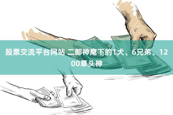 股票交流平台网站 二郎神麾下的1犬、6兄弟、1200草头神