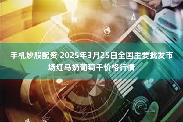 手机炒股配资 2025年3月25日全国主要批发市场红马奶葡萄干价格行情