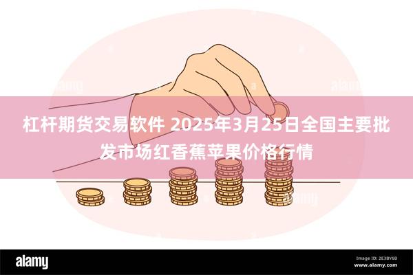杠杆期货交易软件 2025年3月25日全国主要批发市场红香蕉苹果价格行情