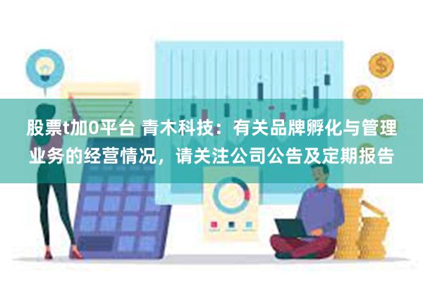 股票t加0平台 青木科技：有关品牌孵化与管理业务的经营情况，请关注公司公告及定期报告