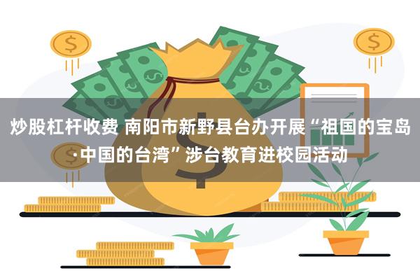 炒股杠杆收费 南阳市新野县台办开展“祖国的宝岛·中国的台湾”涉台教育进校园活动