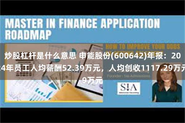 炒股杠杆是什么意思 申能股份(600642)年报：2024年员工人均薪酬52.39万元，人均创收1117.29万元