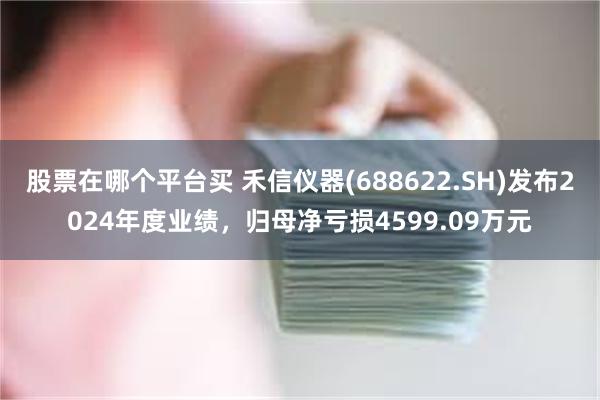 股票在哪个平台买 禾信仪器(688622.SH)发布2024年度业绩，归母净亏损4599.09万元