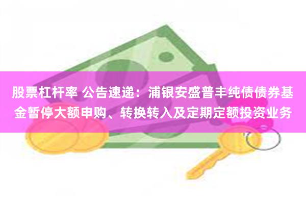 股票杠杆率 公告速递：浦银安盛普丰纯债债券基金暂停大额申购、转换转入及定期定额投资业务