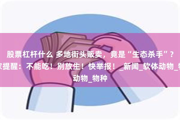 股票杠杆什么 多地街头贩卖，竟是“生态杀手”？专家提醒：不能吃！别放生！快举报！_新闻_软体动物_物种