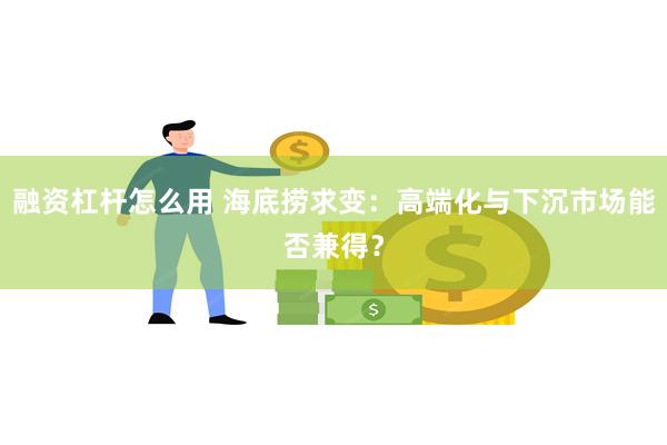 融资杠杆怎么用 海底捞求变：高端化与下沉市场能否兼得？