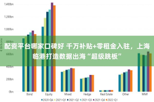 配资平台哪家口碑好 千万补贴+零租金入驻，上海临港打造数据出海“超级跳板”