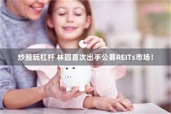 炒股玩杠杆 林园首次出手公募REITs市场！